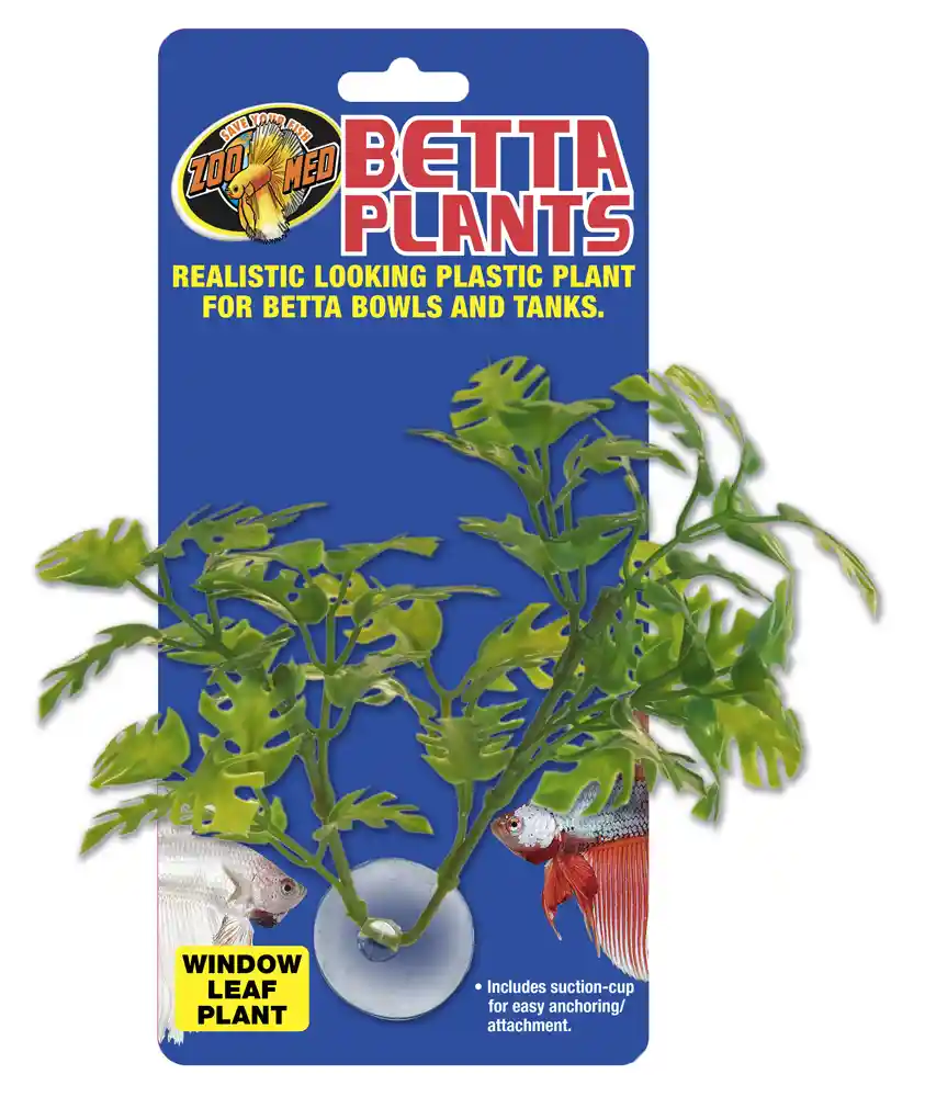 BETTA PLANT WINDOW LEAF