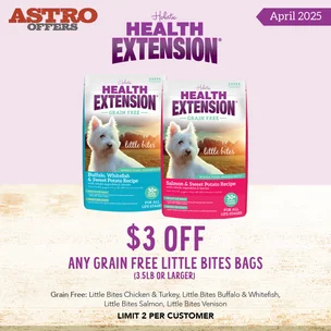Health Extension | …