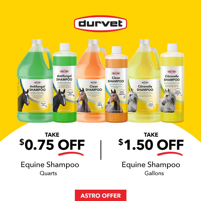 Promotion Image