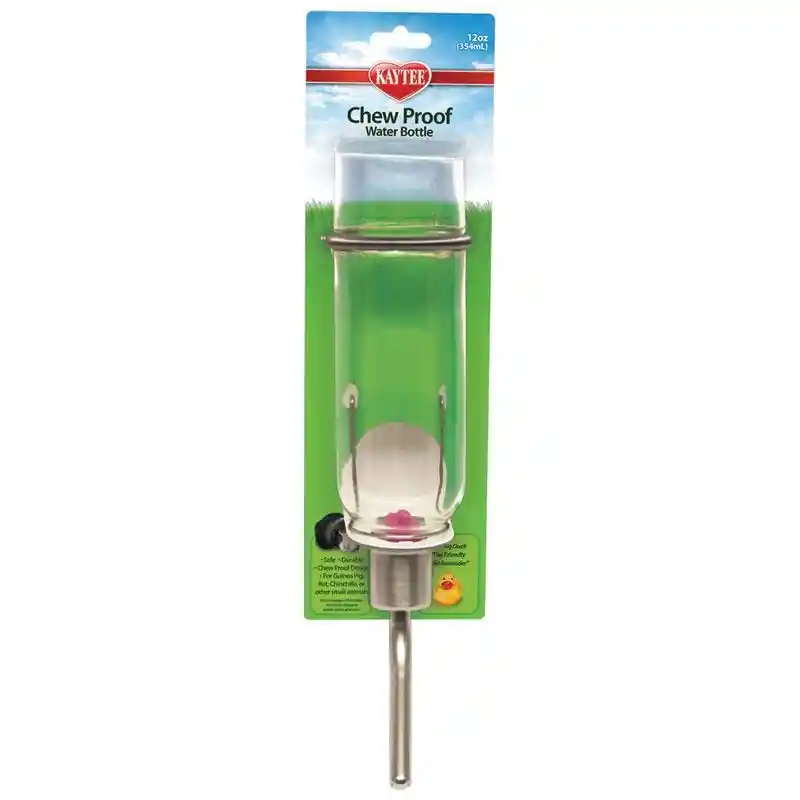 CHEW PROOF WATER BOTTLE 12 OZ