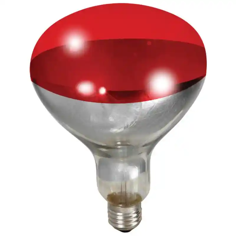 LG HEAT LAMP RED 250W