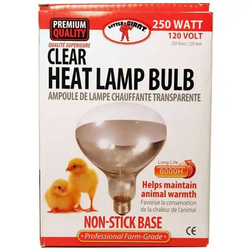 LG HEAT LAMP CLEAR 250W