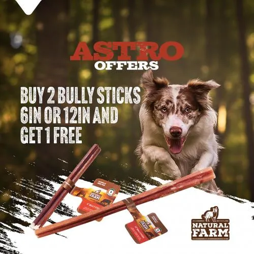Promotion Image