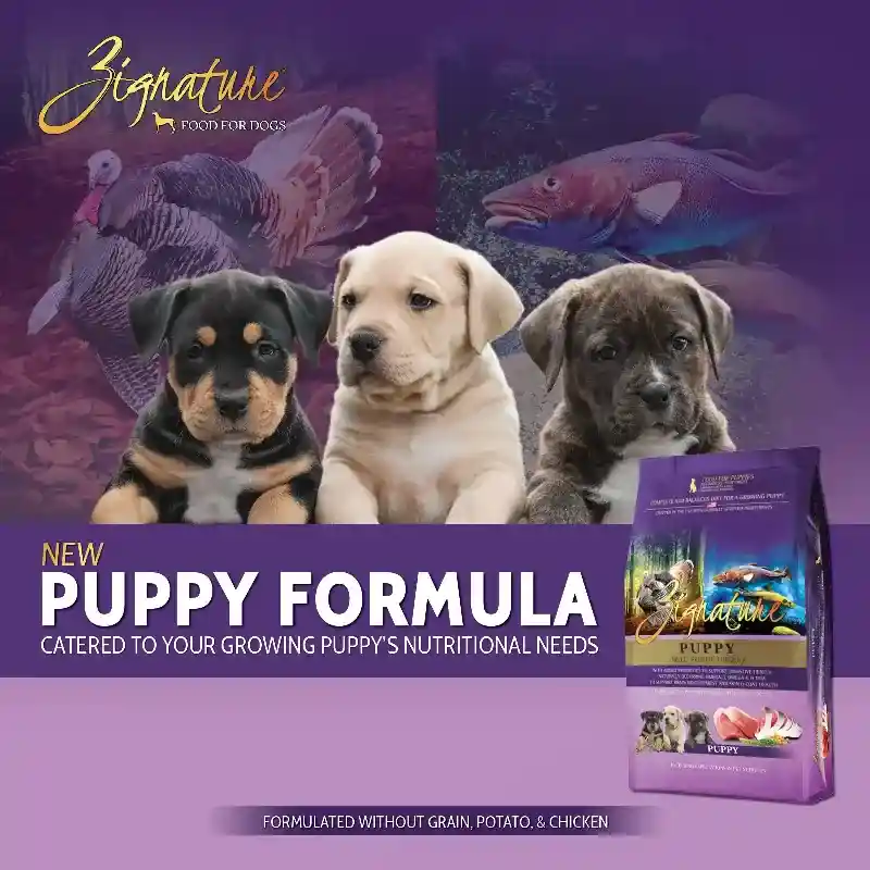 25# ZIGN TURKEY WHTFSH PUPPY