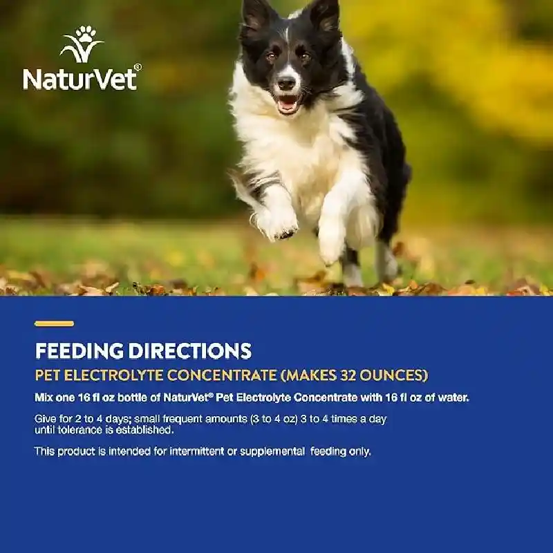 NV PET ELECTROLYTES 16 OZ