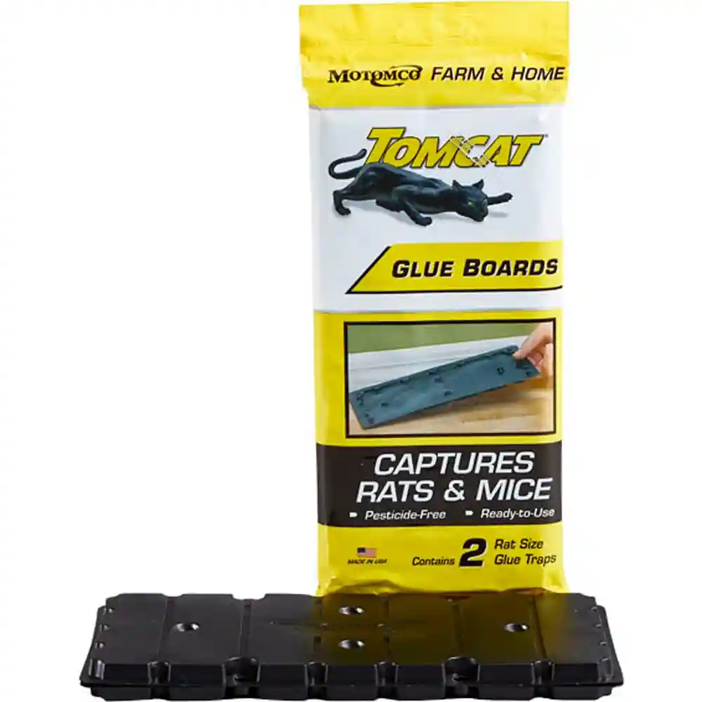 TOMCAT GLUE BOARD RAT 2PK BAG