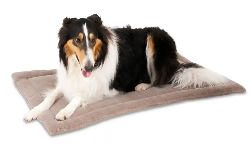 KENNEL MAT 36.5X23.5