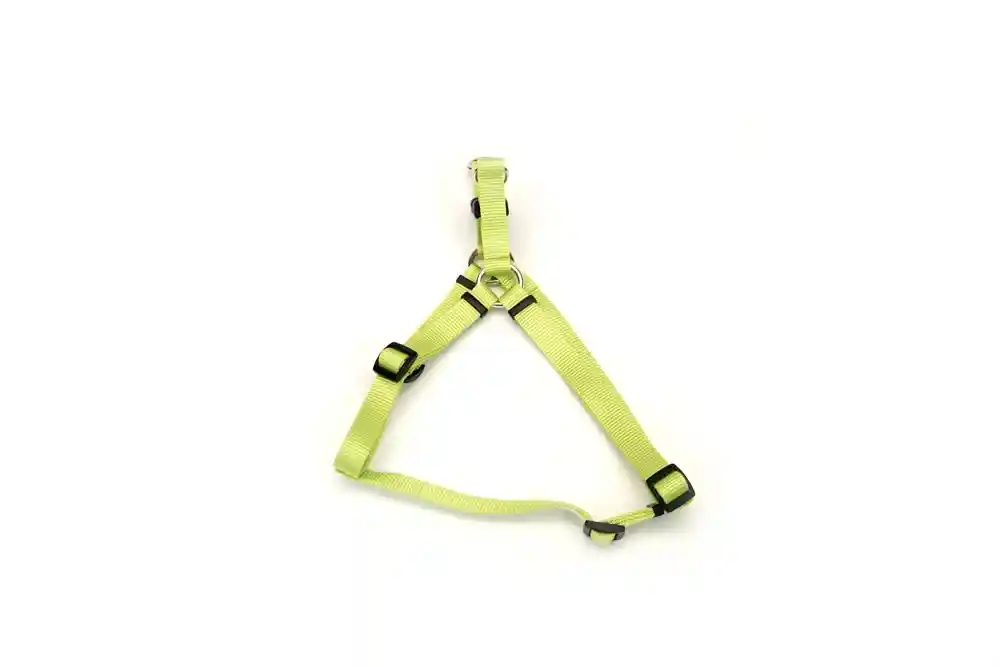 COASTAL ADJ HARNESS LIME 16-24"