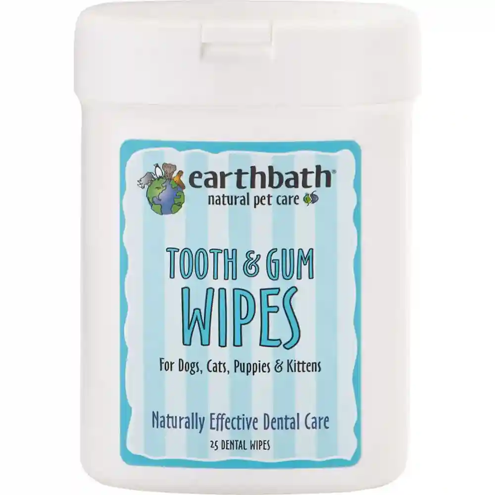 TOOTH/GUM WIPES 25CT