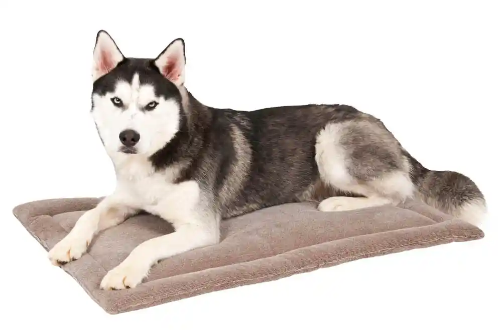 KENNEL MAT 32X21