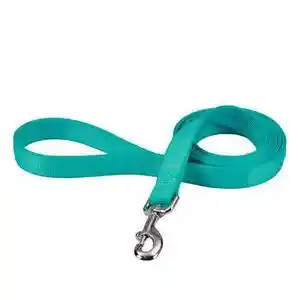 Double Ply Dog Leash - Teal 1" X 6'
