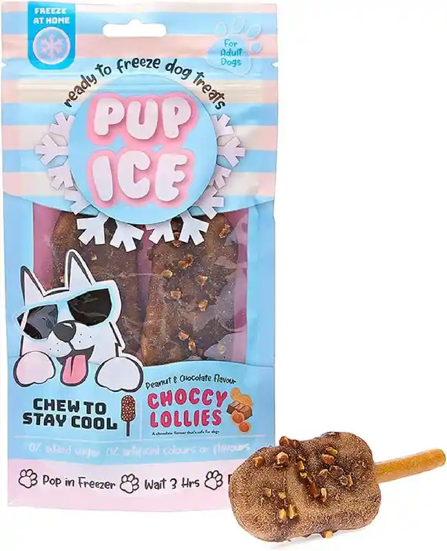 SPOT PUP ICE CHOCCY LOLLIE P&C