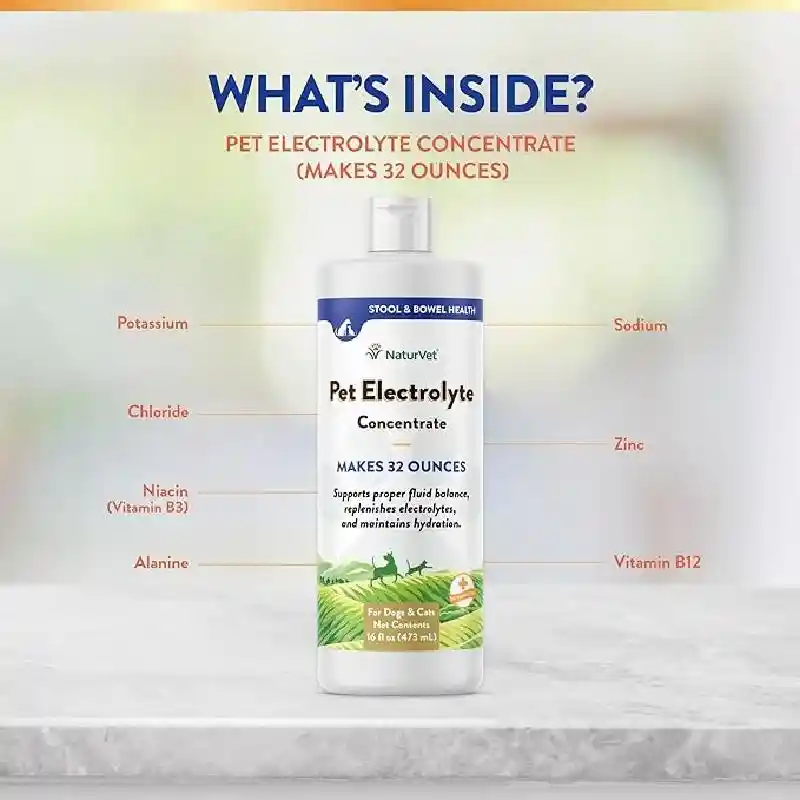 NV PET ELECTROLYTES 16 OZ