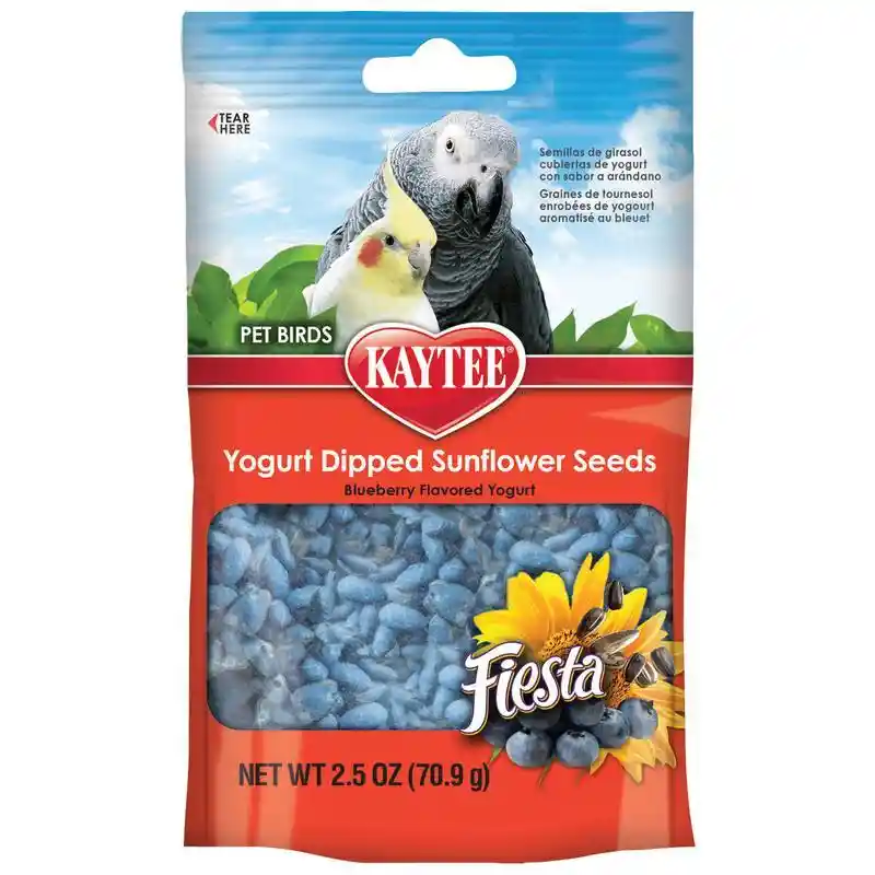 KT YOGURT DIP SNFLWR BB 2.5OZ
