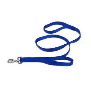 COASTAL LOOPS 2 LEASH BLUE 6'
