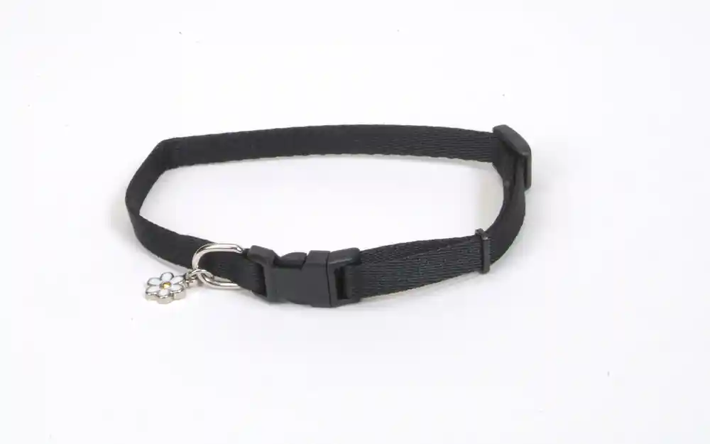 LIL PALS BLACK COLLAR 6-8"
