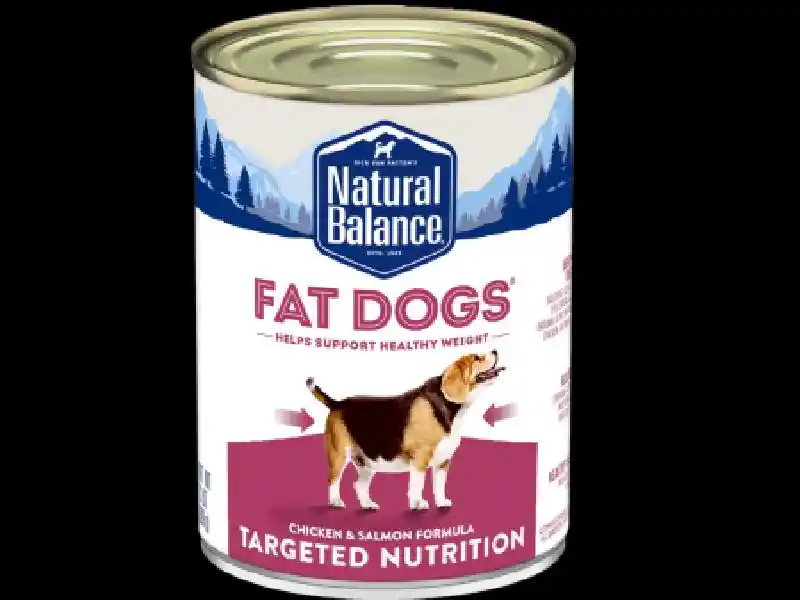 13 OZ NB FAT DOG ULTRA WET FOOD
