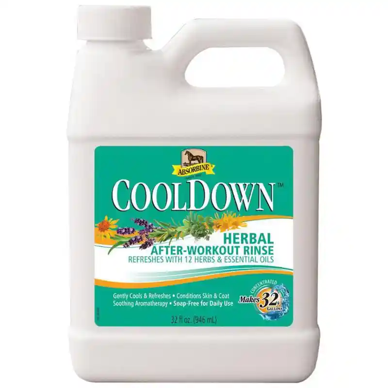 ABSORBINE COOLDOWN HRBL RINSE 32 OZ