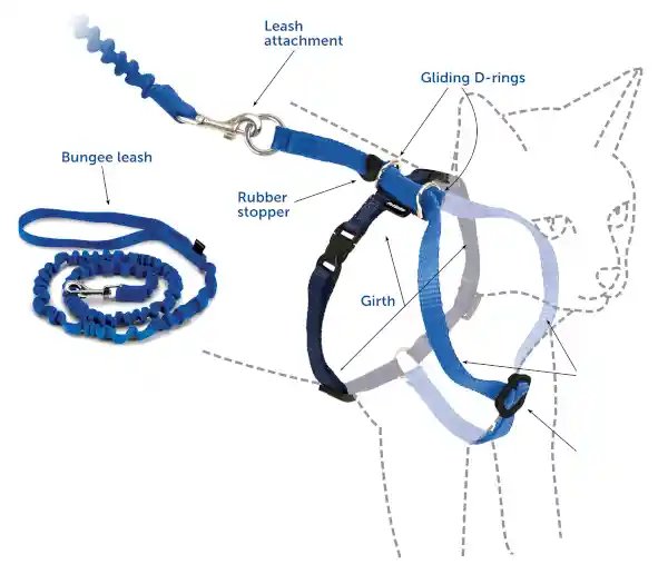 KITTY HARNESS AND LEASH SM LAVDR