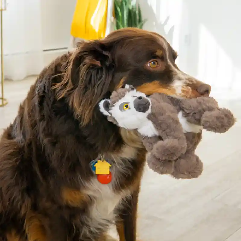 KONG SCAMPER LEMUR MED