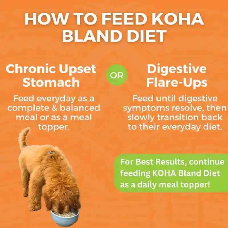 KOHA BLAND DIET CHKN 12.5OZ