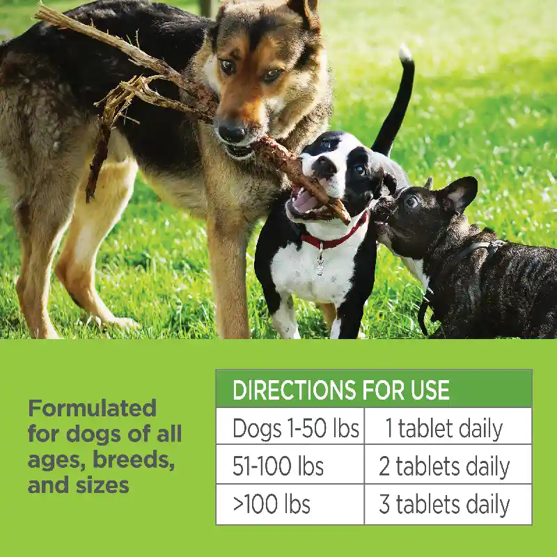VETALITY NAT F&T CHEW K9 120CT