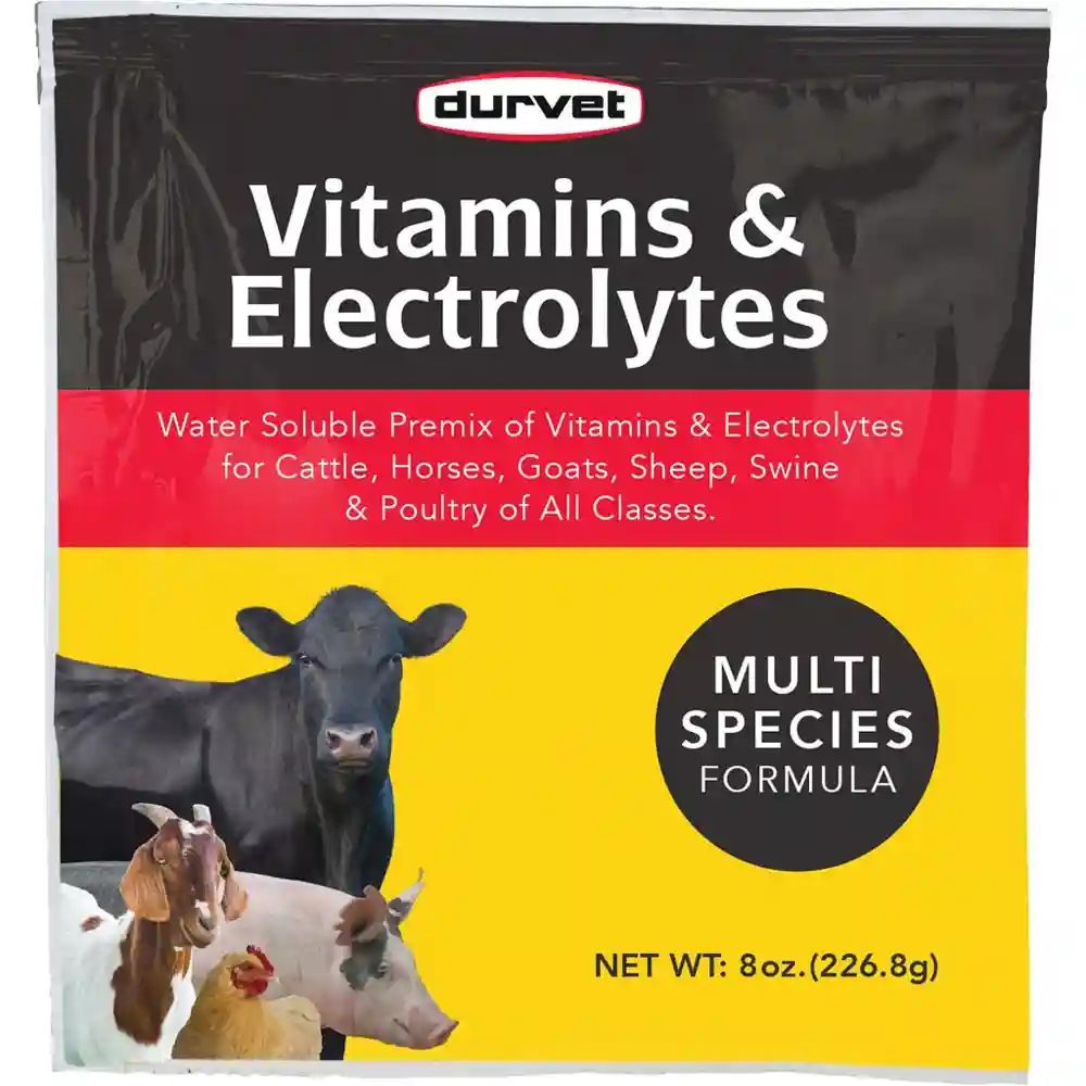 DURVET VITAMINS & ELECTROLYTES 8OZ