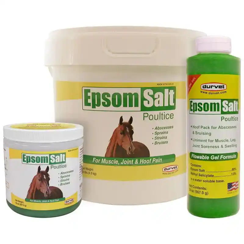 Epsom Salt Poultice Horse & Rider Formula 20 Ounce