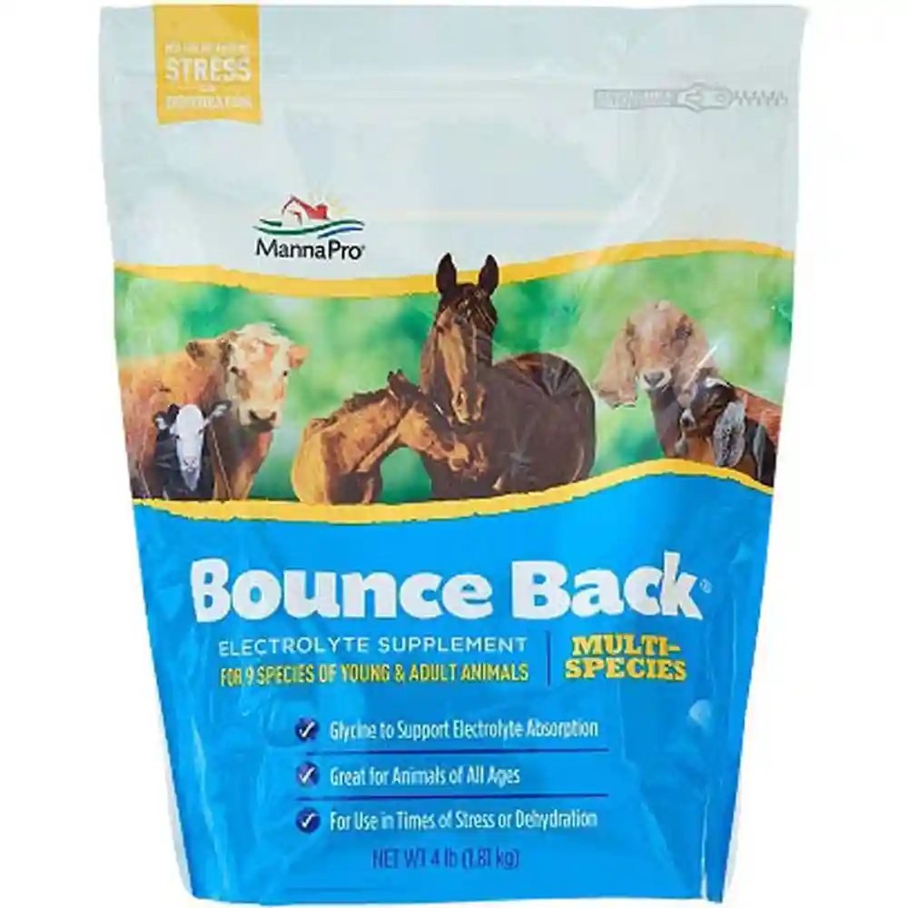 4# MP BOUNCE BACK ELCTROLITE SUP