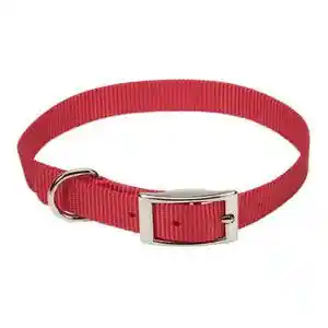 COASTAL 5/8" RED COLLAR 16"