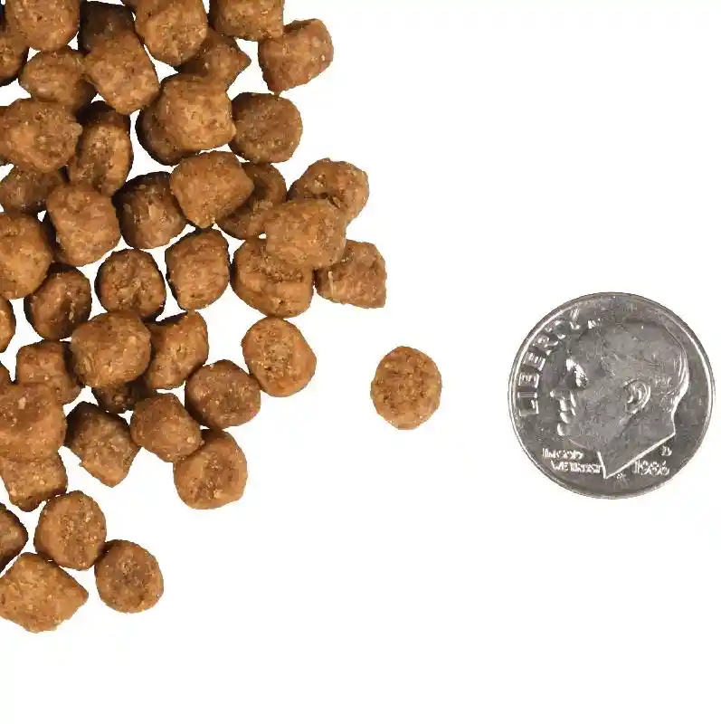 4# FROMM GOLD INDOOR CAT
