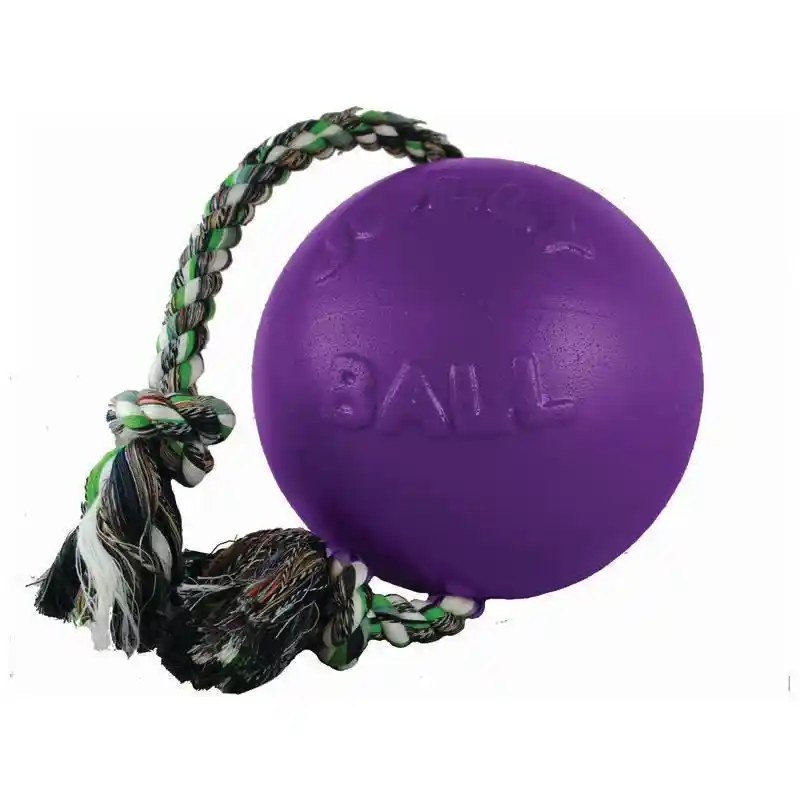 ROMP N ROLL JOLLY BALL 6" PURPLE