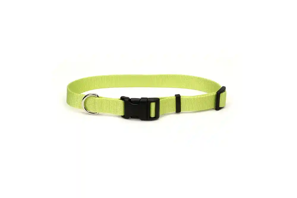 TUFF COLLAR LIME 18-26"