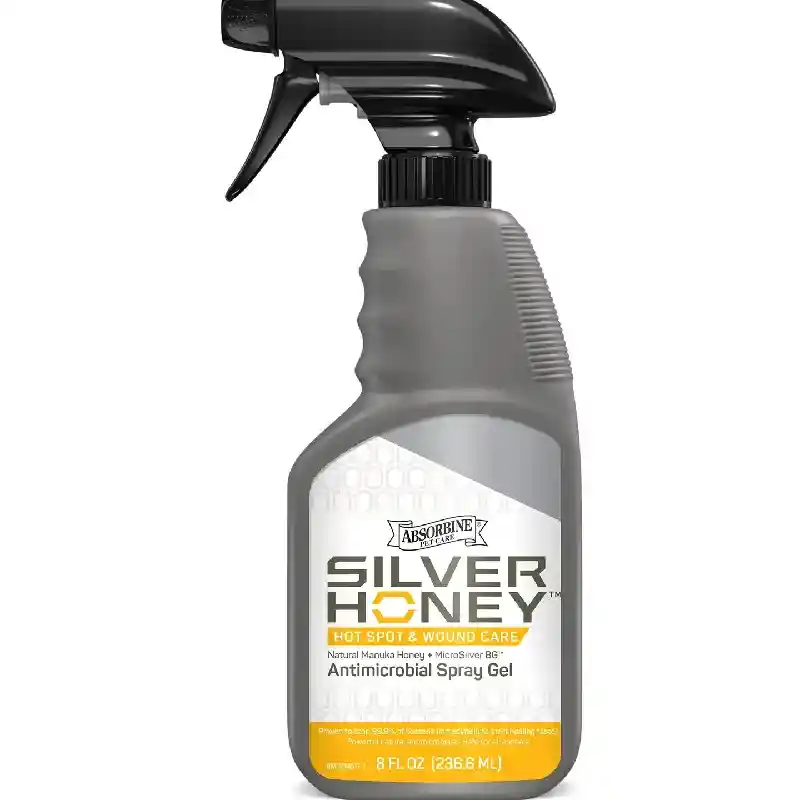 SILVER HONEY HS WOUND 8 OZ