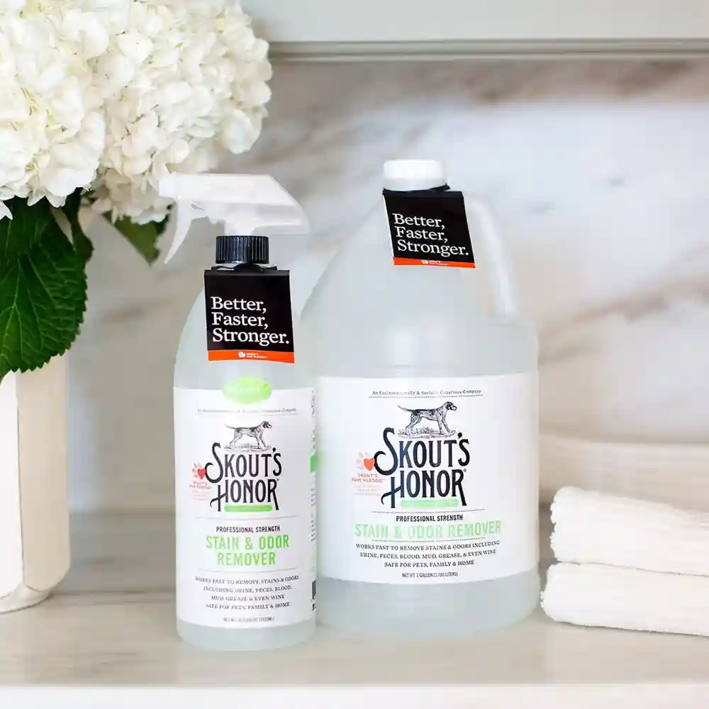SH 35OZ STAIN & ODOR REMOVER