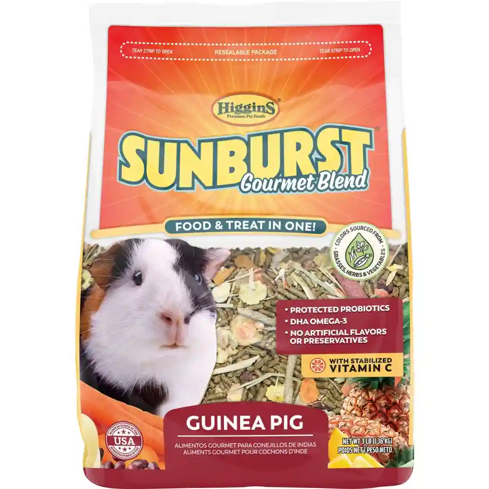 3# SUNBURST GUINEA PIG