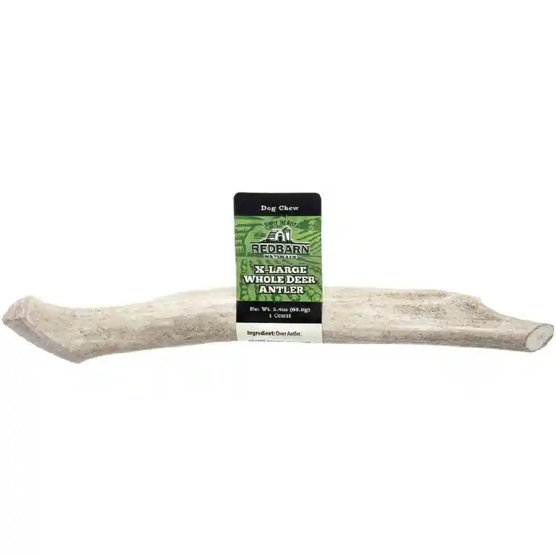 RB XL DEER ANTLER