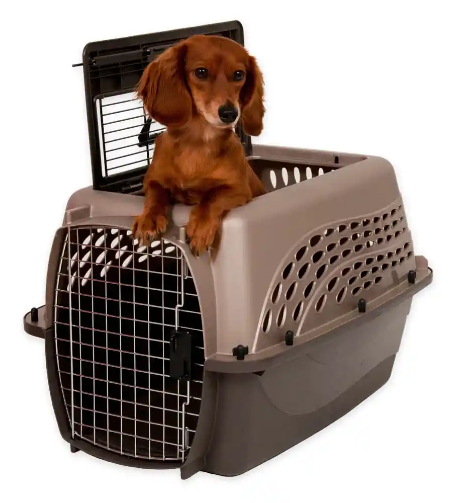 PM DOUBLE DOOR TL KENNEL 24"