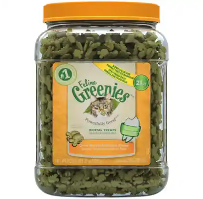 FELINE GREENIES CHKN 21OZ