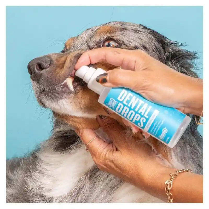 SH ADVANCED DENTAL DROPS 4 OZ