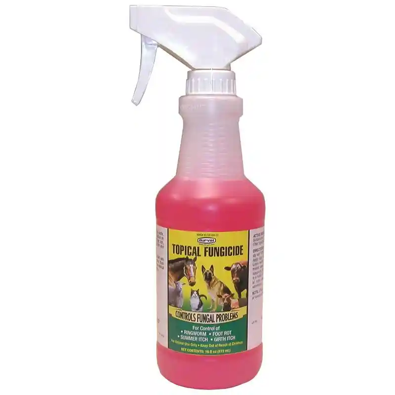 TOPICAL FUNGICIDE PINT