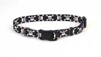 3/8" SKULLS COLLAR 12"