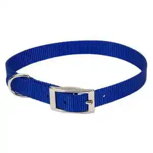 COASTAL 5/8" BLUE COLLAR 16"