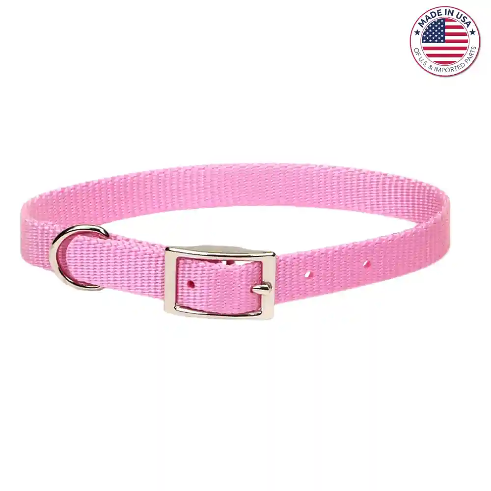 COASTAL 3/8" PINK 10" COLLAR