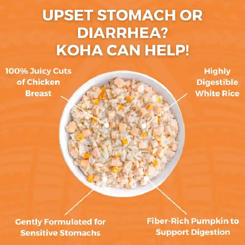 KOHA BLAND DIET CHKN 12.5OZ