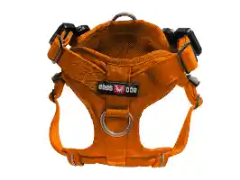 BOSS DOG TACT HARNESS ORNG XL
