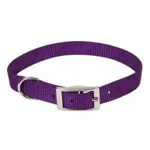 COASTAL 5/8" PURPLE COLLAR 16"