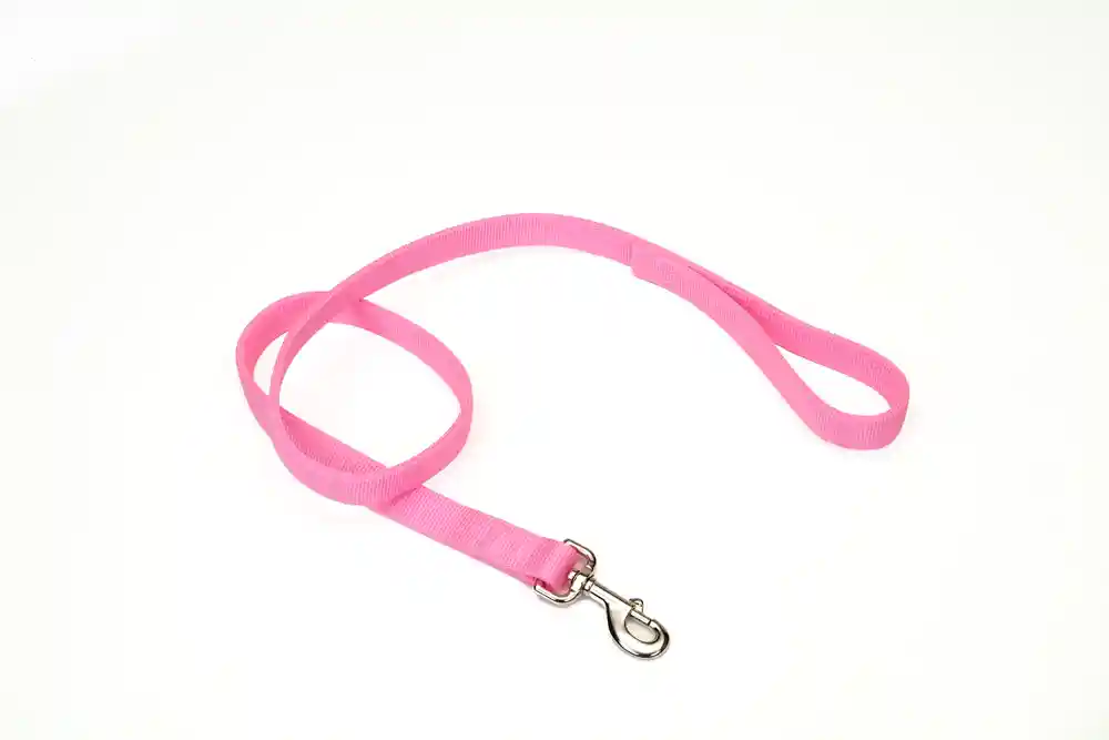 COASTAL DBL TRNG LEASH PINK 6'