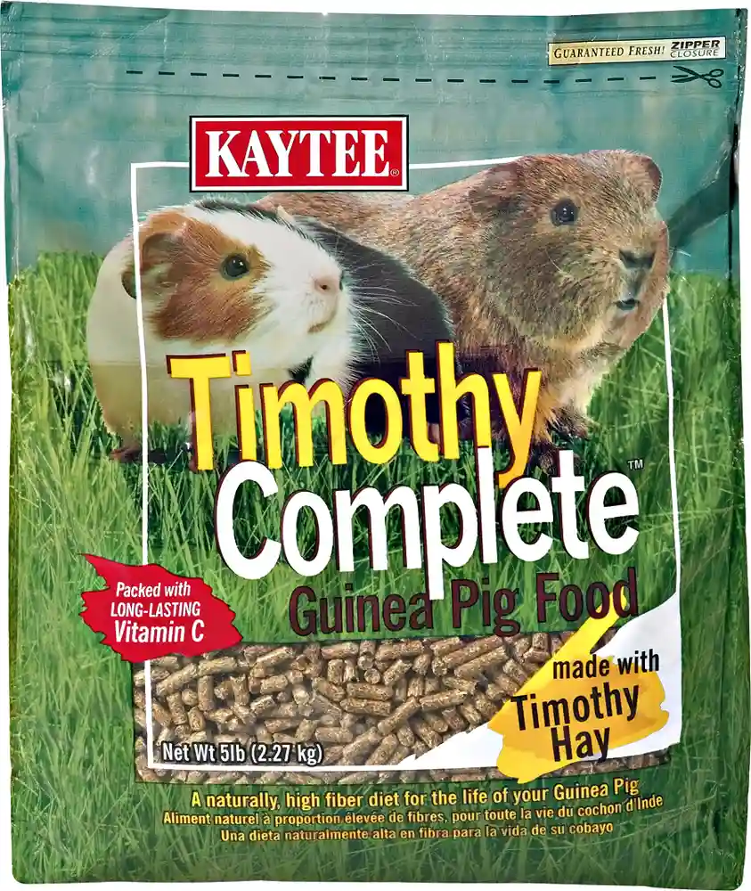 5# KT TIMOTHY GUINEA PIG