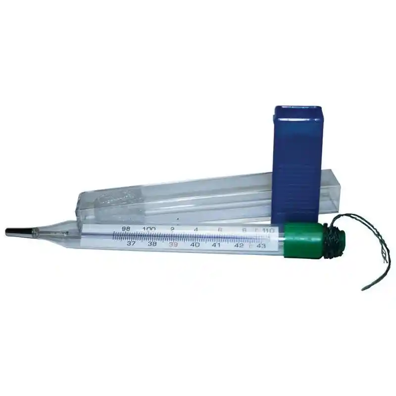 Vet Thermometer 5 Inch